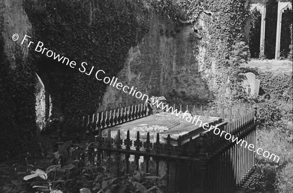 MALAHIDE CASTLE RUINED CHURCH TALBOT TOMB